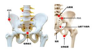 腰痛 動くと痛い 施術ポイント