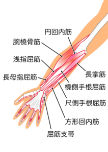 整体師が対応できる肘痛の原因の見つけ方3選&治し方