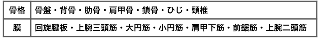 四十肩の施術